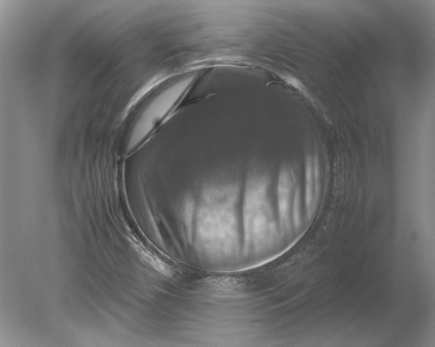 X0000080751450200701051158