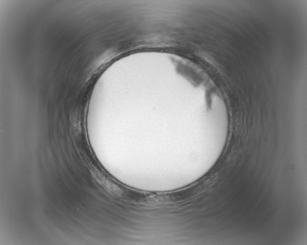 X0000080751451200701051158