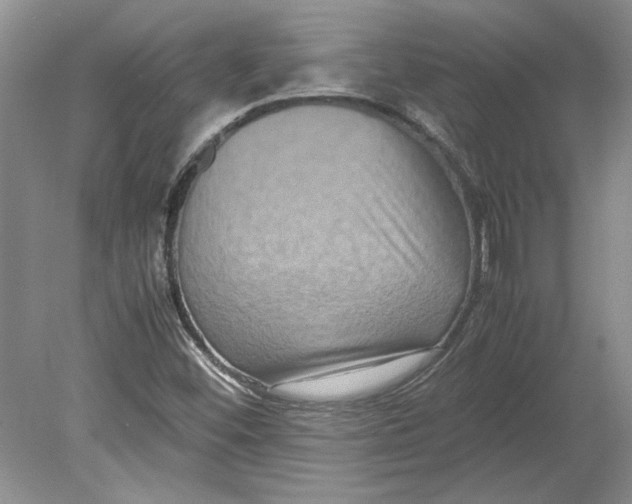 X0000080751452200701051158