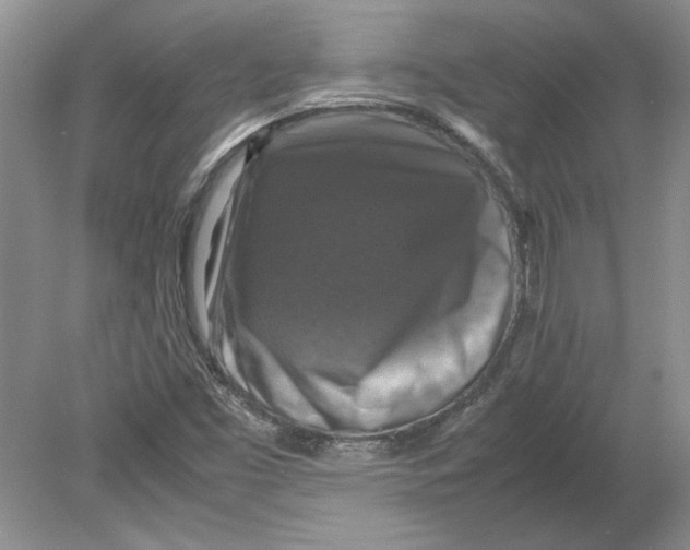 X0000080751453200701051158