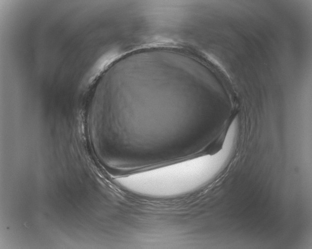X0000080751455200701051158