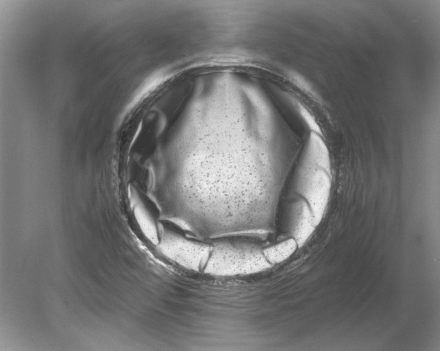 X0000080751456200701051158