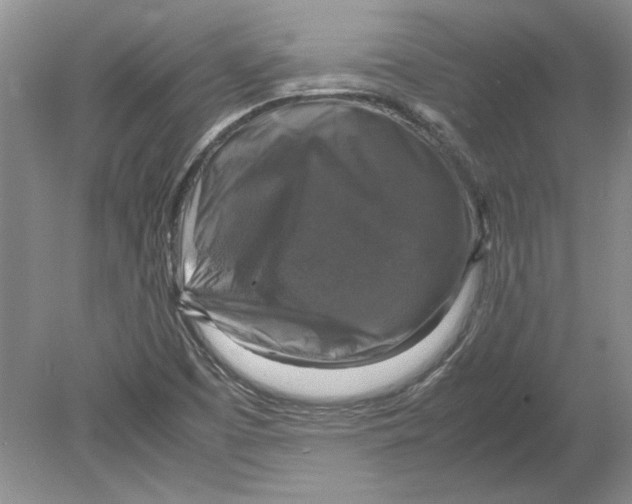 X0000080751457200701051158
