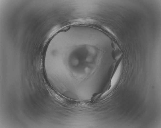 X0000080751459200701051158