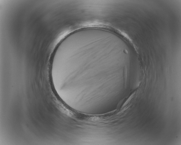 X0000080751463200701051158