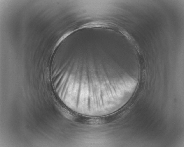 X0000080751465200701051158