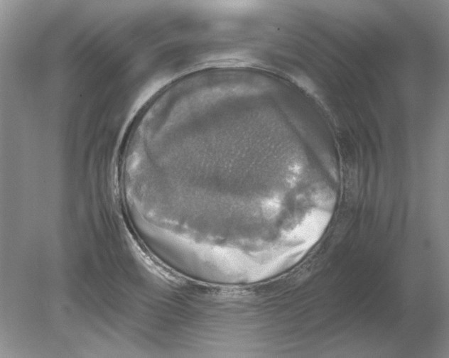 X0000080751466200701051158