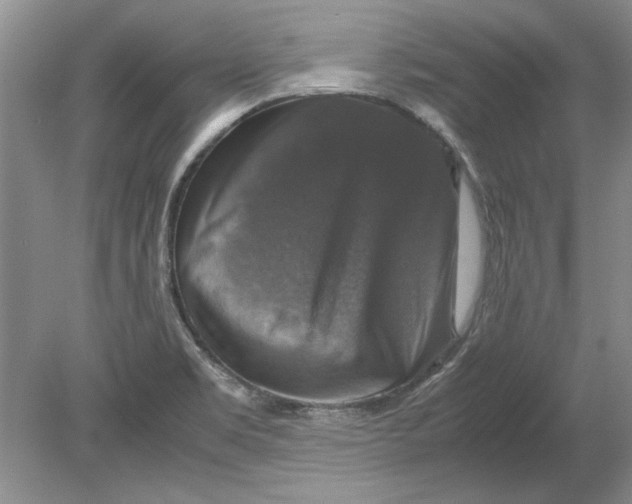 X0000080751469200701051158