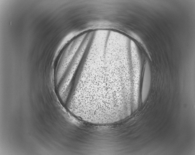 X0000080751472200701051158