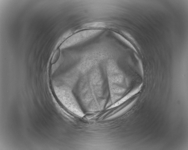 X0000080751475200701051158