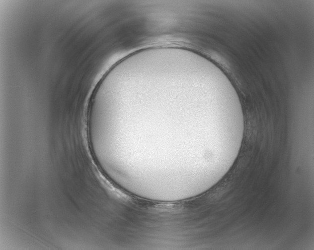 X0000080751478200701051157