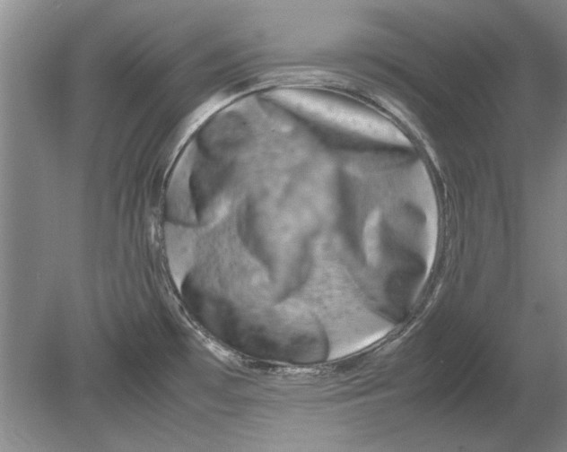 X0000080751481200701051157