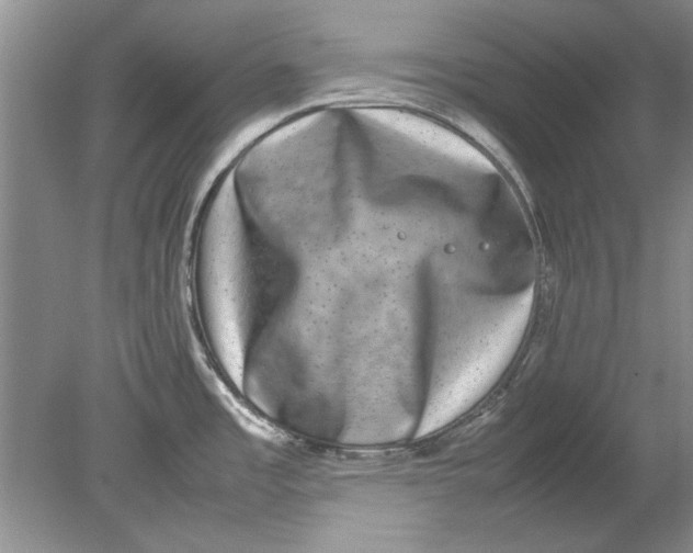 X0000080751485200701051157