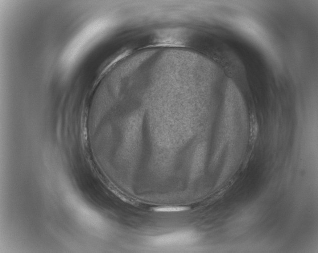 X0000080751487200701051157