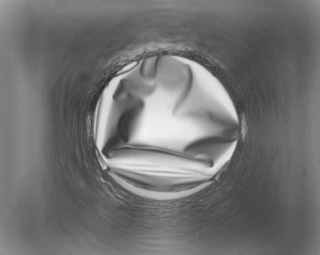 X0000080751492200701051157
