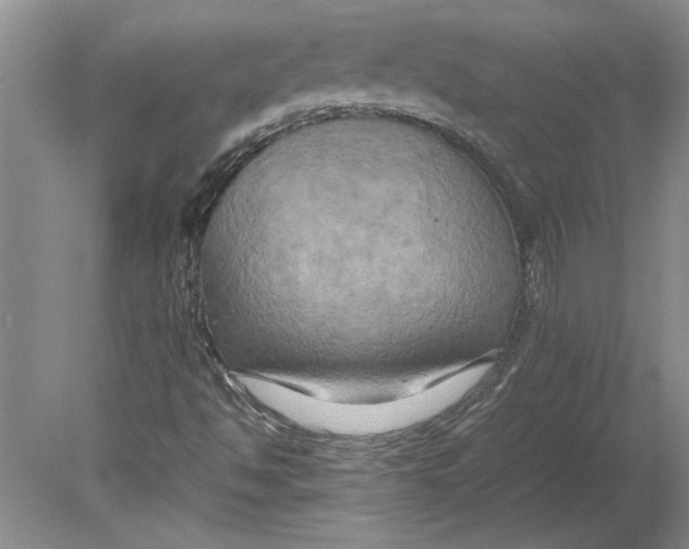 X0000080751494200701051157