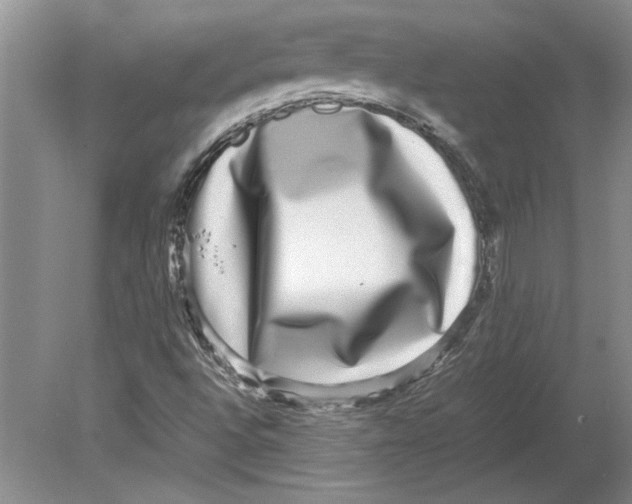 X0000080751496200701051157