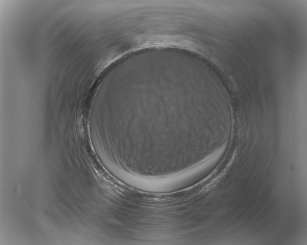 X0000080751497200701051157