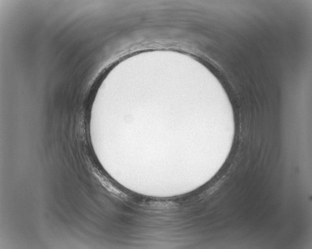 X0000080751498200701051157