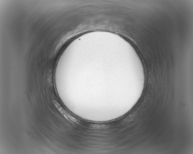 X0000080751499200701051157