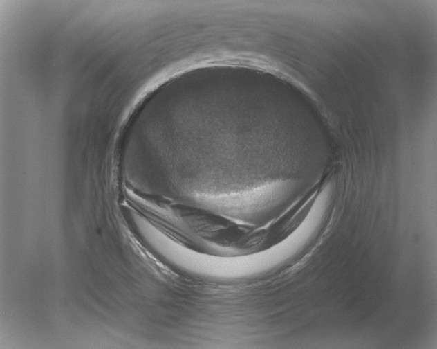 X0000080751506200701051157