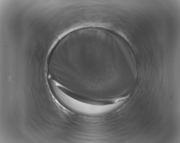 X0000080751508200701051157