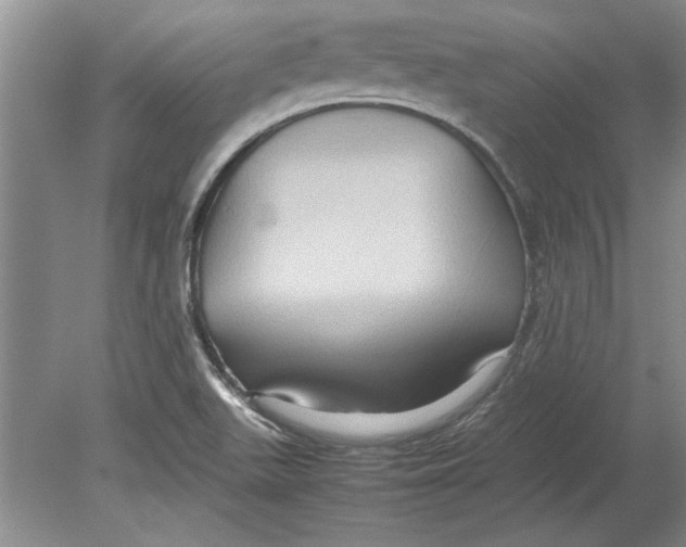X0000080751511200701051157
