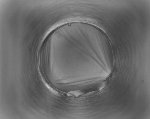 X0000080751515200701051157