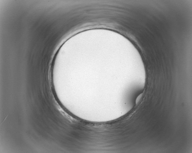 X0000080751516200701051157