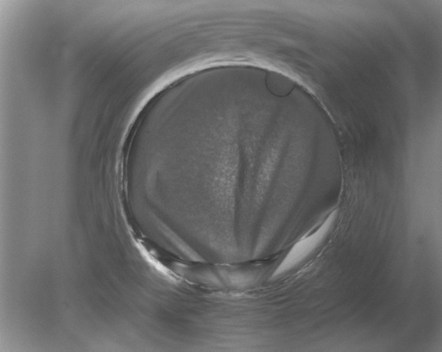 X0000080751519200701051157