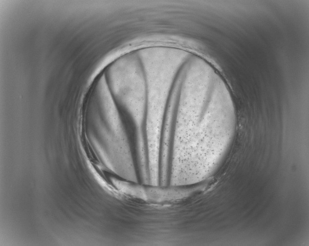 X0000080751523200701051157