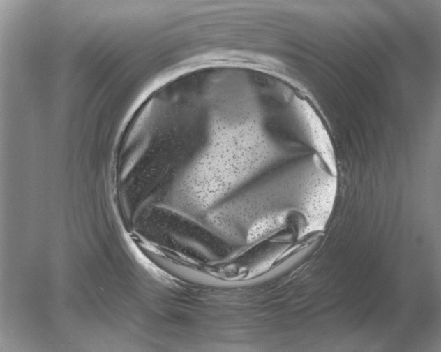 X0000080751531200701051157