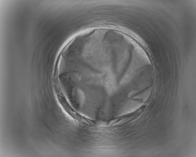 X0000080751536200701051157