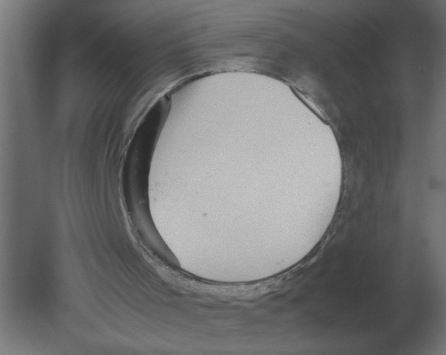 X0000080750001200701122015