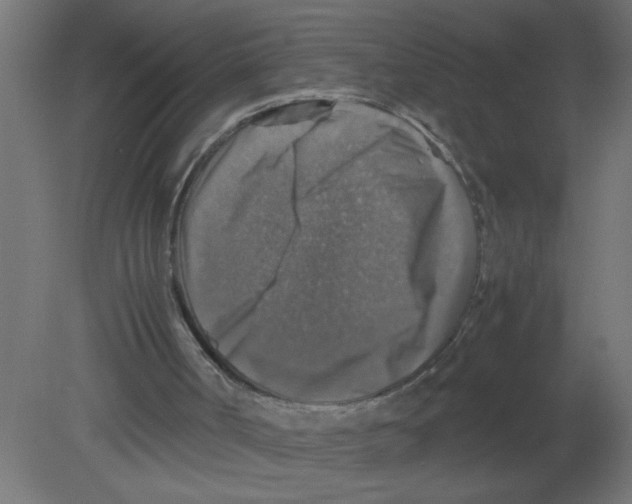 X0000080750002200701122015