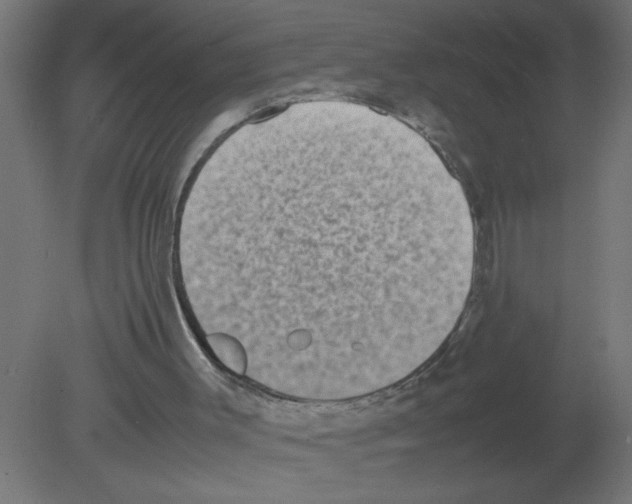 X0000080750003200701122015