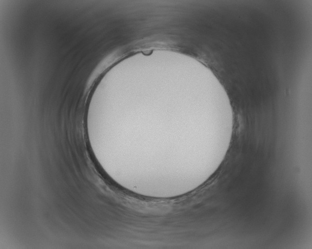 X0000080750004200701122015