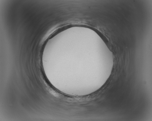 X0000080750005200701122015