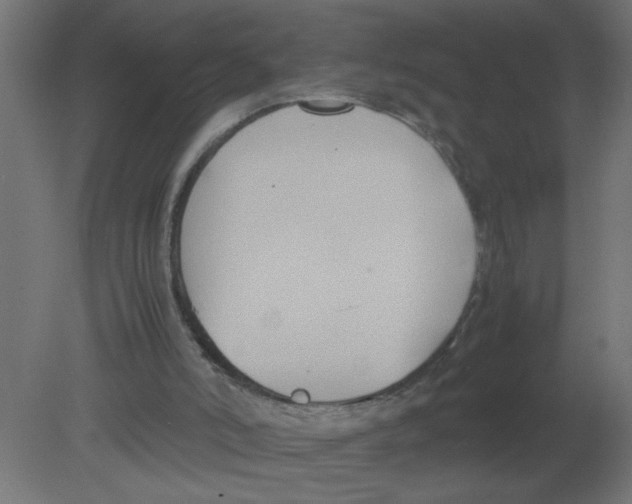 X0000080750006200701122015