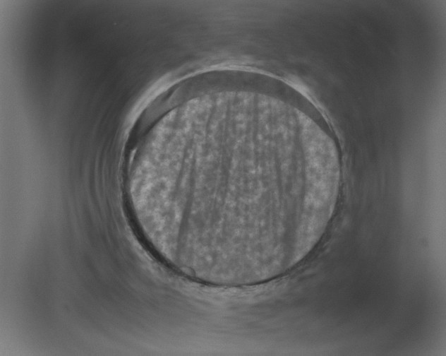 X0000080750007200701122015