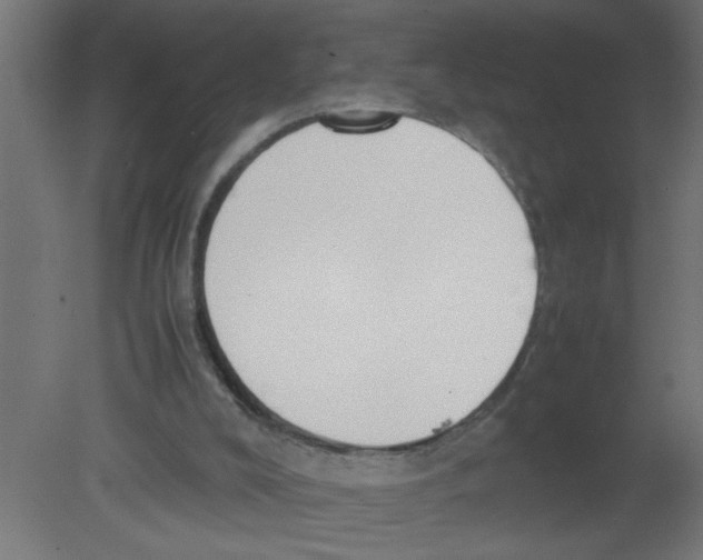 X0000080750008200701122015