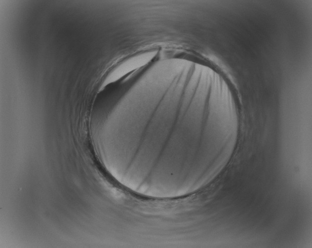 X0000080750009200701122015