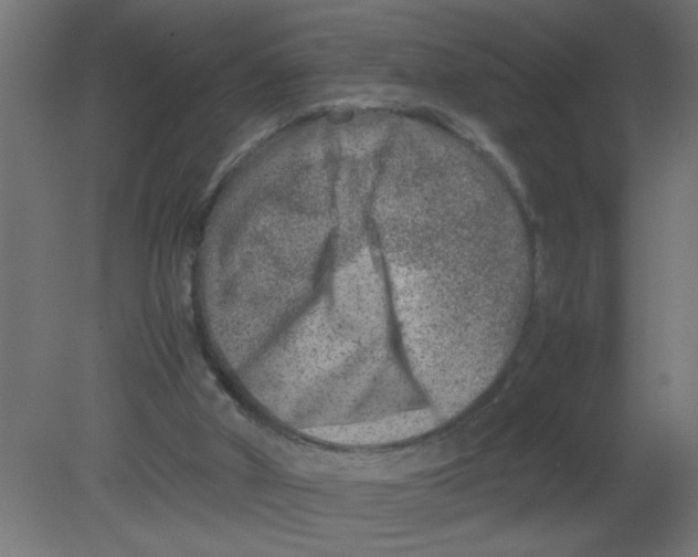 X0000080750010200701122015