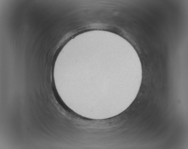 X0000080750011200701122015