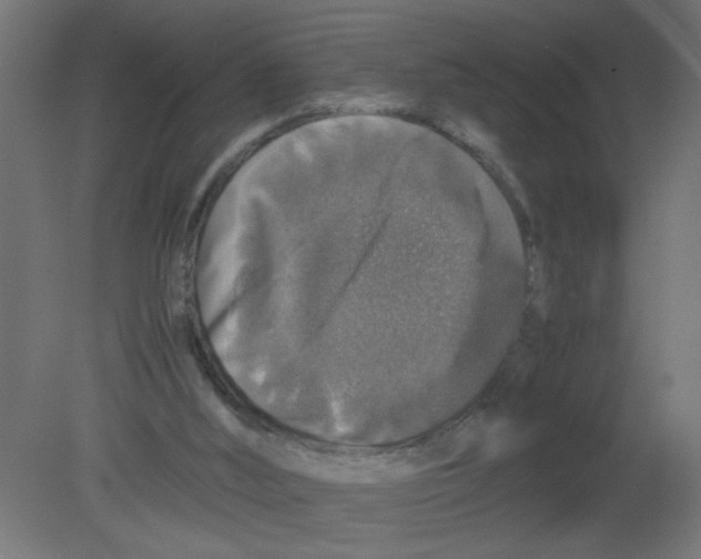 X0000080750012200701122015