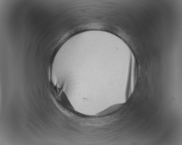 X0000080750013200701122015