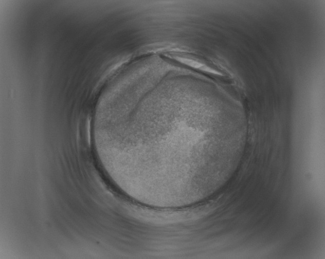 X0000080750014200701122015