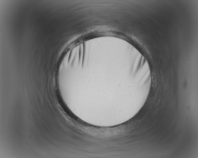 X0000080750015200701122015