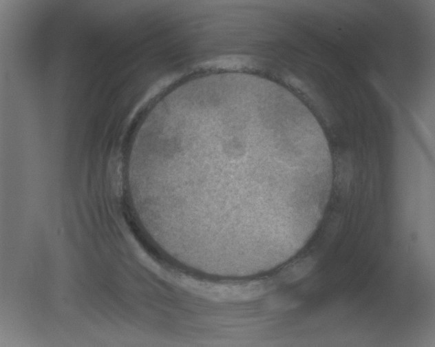 X0000080750016200701122015