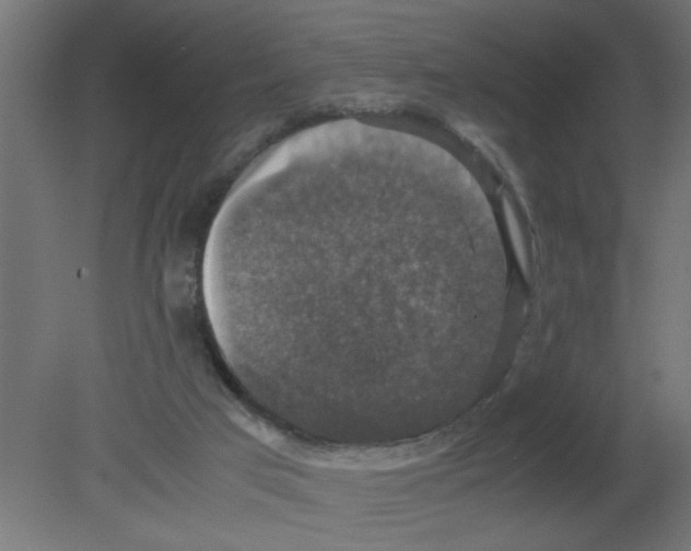 X0000080750017200701122015